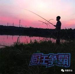 吃瓜系统超长合集牧歌