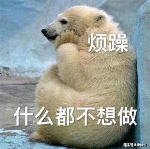 吃瓜而已的图片,吃瓜群众视角下的娱乐圈风云录