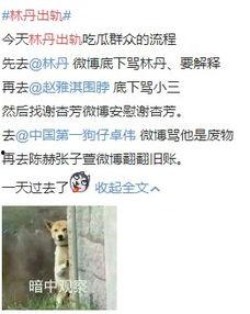 全网吃瓜爆料小说