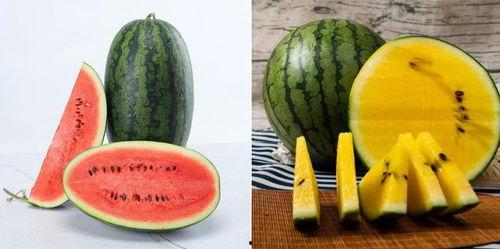 阅文吃瓜,揭秘网络文学圈的那些事儿