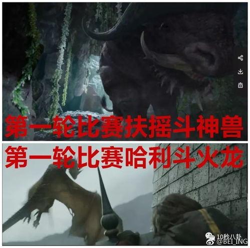 哈利波特吃瓜头像,揭秘魔法世界的趣味瞬间