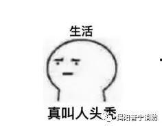 吃瓜会掉发吗,揭秘日常饮食习惯对头发健康的影响