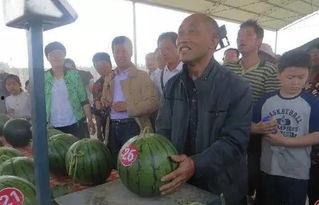 邯郸魏县吃瓜群众,吃瓜群众的夏日生活剪影