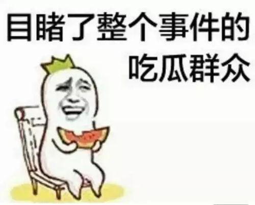 怀旧吃瓜群众叫什么,那些年我们一起追过的“瓜”