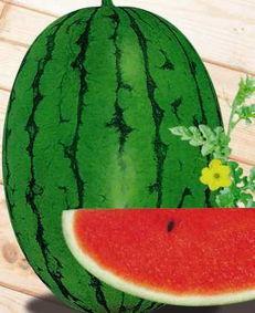 宁陵最新吃瓜事件,揭秘背后真相与争议