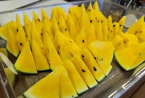 上海吃瓜阿姨,揭秘沪上街头美食传奇