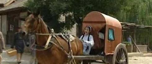 四哥骑驴吃瓜,闲适生活的一日趣事