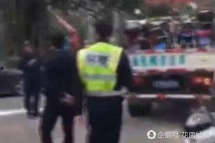 警察和吃瓜群众,警察与吃瓜群众的日常故事