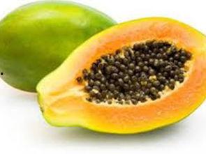 吃瓜连带籽,探寻吃瓜乐趣与营养奥秘