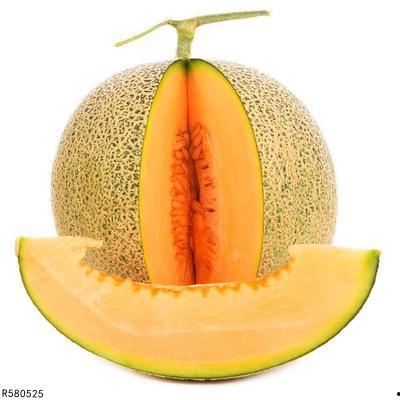 剑羚吃哈密瓜,自然界的和谐画卷