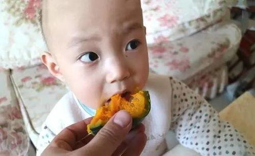 吃贝贝瓜搞笑音乐